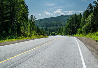 Fototapeta na wymiar Empty highway road leading through pine forest in Krasnoyarsk region, Russia