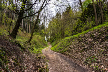 Leśna ścieżka © Piotr