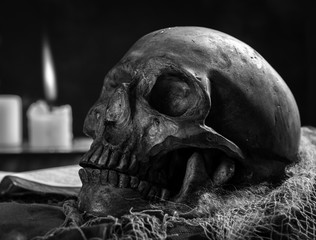 Black and White closeup of  Human Skull