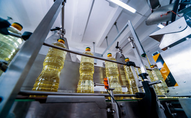 Bottling line of sunflower oil in bottles. Vegetable oil production plant. High technology.