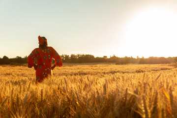 African woman in traditional clothes standing in a field of crops at sunset or sunrise - obrazy, fototapety, plakaty