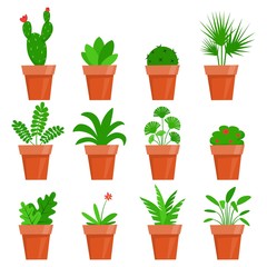 Potted plants and flowers. Cute house plants in flat style. Vector illustration.