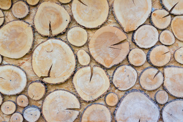 Background from cut pieces of wood