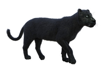 3D Rendering Black Panther on White