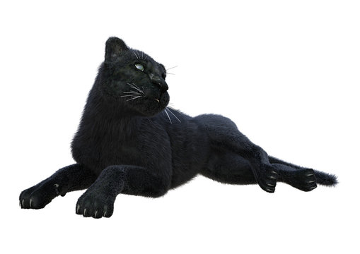 3D Rendering Black Panther On White