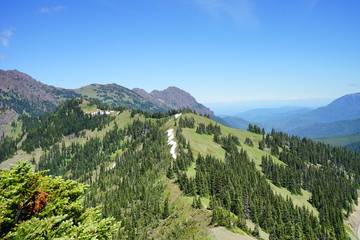 Fototapeta na wymiar Beautiful mountains in Olympic National Park in summer in Washington, near Seattle