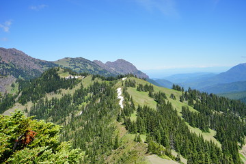Fototapeta na wymiar Beautiful snow capped mountains in Olympic National Park in summer in Washington, near Seattle