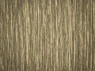 Fototapeta premium Wood texture and background