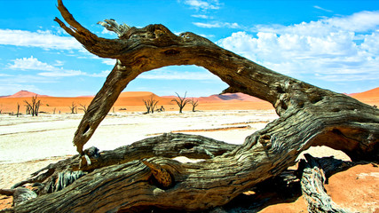 nature of the worlds best places