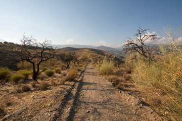 landscape near Ugijar