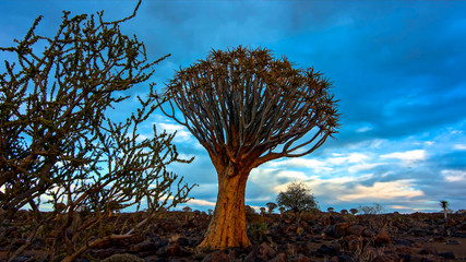 nature of the worlds best places