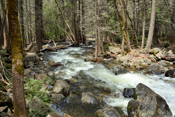 Fototapeta na wymiar River in Yosemite National Park, California, USA