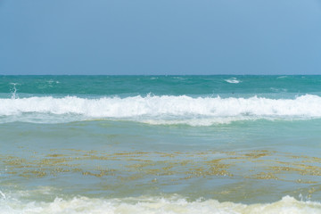 Waste water into the sea. brown colored sea water