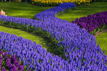 Keukenhof, Lisse, Netherlands - 18 April 2019: The view of different corners of the Keukenhof park, the worlds largest flower and tulip garden park in Holland. One of the most popular destination