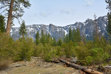 Fototapeta na wymiar Natural landscape of Yosemite National Park landscape, California. USA