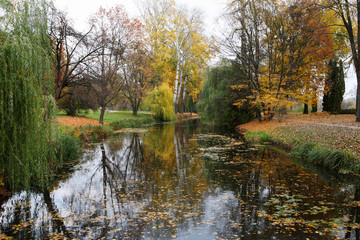 Fototapeta na wymiar Lake in autumn park