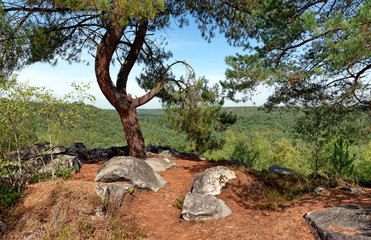 Belvedere of the Fontainebleau forest in the french Gâtinais regional nature parkhikinf
