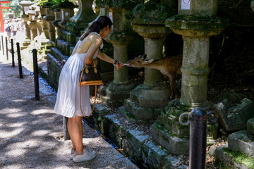 A woman feeding the sacred deer in ancient park of Nara in Japan. 