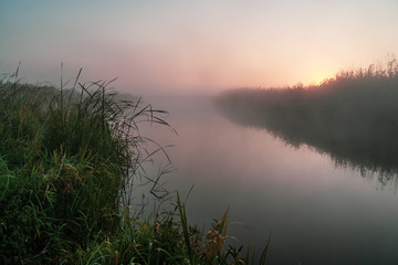 Narwiański Park Narodowy. Poranek nad Narwią © podlaski49