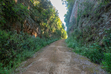 Le incredibili vie cave, sentieri scavati nella roccia di tufo dagli etruschi in Toscana, tra...