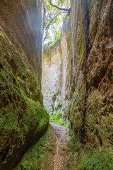 Le incredibili vie cave, sentieri scavati nella roccia di tufo dagli etruschi in Toscana, tra Pitigliano e Sorano, Italia