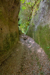 Fototapeta na wymiar Le incredibili vie cave, sentieri scavati nella roccia di tufo dagli etruschi in Toscana, tra Pitigliano e Sorano, Italia