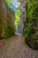 Le incredibili vie cave, sentieri scavati nella roccia di tufo dagli etruschi in Toscana, tra...