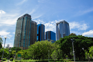 Modern city in a green environment