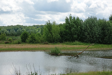 réserve ornithologique de Saint-Cyr