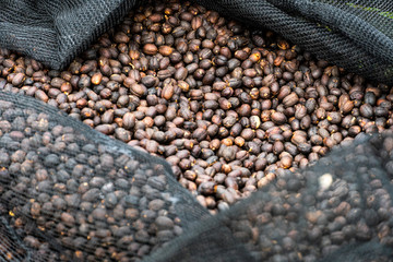 background of coffee beans