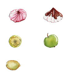 marshmallows, meringues, elements, design, watercolor, illustration, isolated, an apple