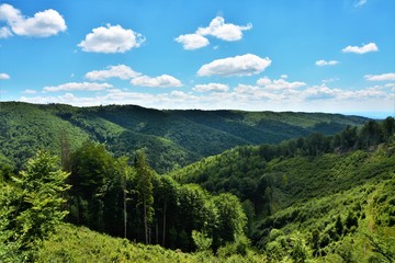 Fototapeta premium summer landscape in the Calimani mountains