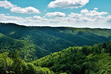 summer landscape in the Calimani mountains