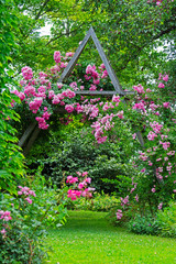 Idyllic rose garden