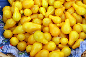 Yellow Cherry tomatoes. Fresh organic cherry tomatoes background. Tomatoes pattern