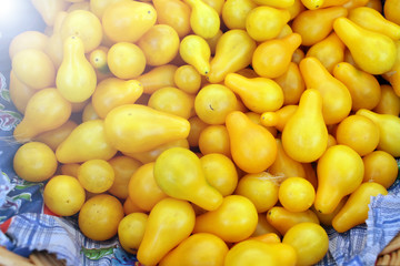 Yellow Cherry tomatoes. Fresh organic cherry tomatoes background. Tomatoes pattern