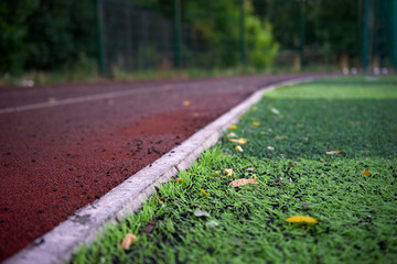Background. Soccer field with green grass and a treadmill