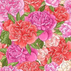 Seamless floral pattern with pink and coral peony flowers