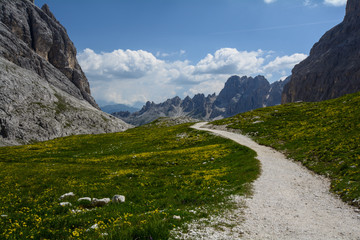 Sentiero dolomitico 584 dal rifugio Passo Principe al rifugio Vajolet