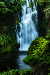 Fototapeta na wymiar Waterfall landscape. Beautiful hidden Cemara waterfall in tropical rainforest in Sambangan, Bali. Slow shutter speed, motion photography.