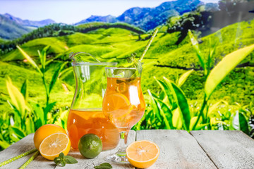 Glass of summer ice tea drink with lemon on plantation as a background