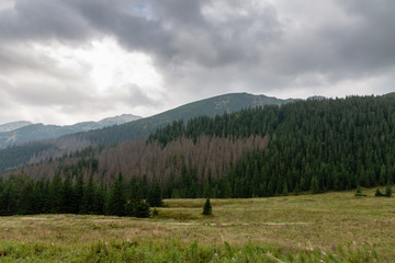 Dark clouds over the mountains