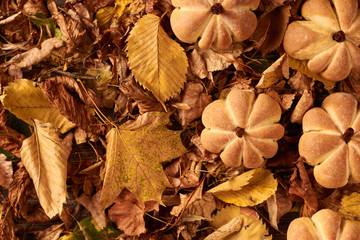 Homemade cookies in shape of pumpkin in autumn leaves. Halloween handmade cookies on a table, close up
