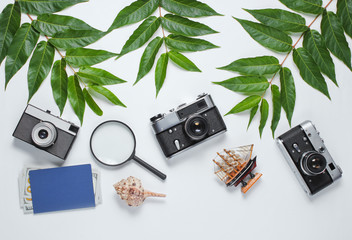 Retro style travel still life. Film camera, shells, green tropical leaves. Traveler accessories on...
