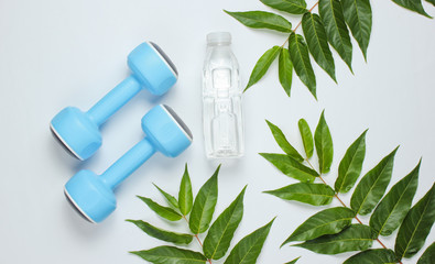 Creative fitness background. Plastic blue dumbbells, bottle of water on a white background with green leaves. Sport concept. Unity with nature. Top view