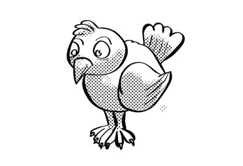 little cute chicken bird