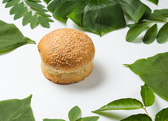 Bun with sesame seeds on a white background with green tropical leaves