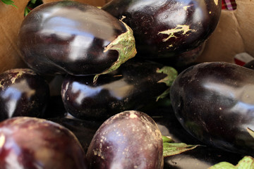 Eggplant. Fresh organic aubergine. Vegetables pattern.