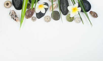 Spa concept on white background, palm leaves, tropical flower and zen like stones, top view, copy space.