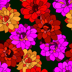 seamless pattern with flowers of dahlia in bright colors